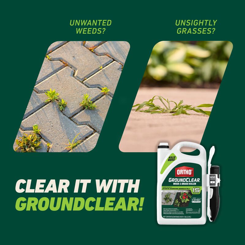 Ortho® GroundClear® Weed & Grass Killer with Comfort Wand® image number null